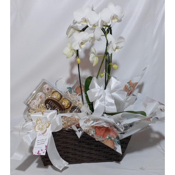 Orquídea e bombons Ferrero  com 12