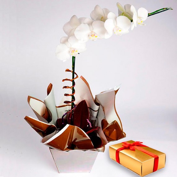 Orquídea Phalaenópsis com Bombons